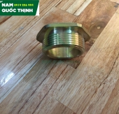 Tán Ren Ngoài IMC 1-1/4 Inch Nối Ống GI