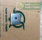 Long Đền Vuông M8