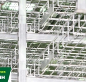 MÁNG CÁP DẠNG LƯỚI - WIRE MESH TRAY