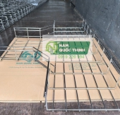 Co 3 Ngã Máng Cáp Dạng Lưới Inox 300x100